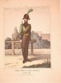 Bürger-Schütze in Gala-Uniform im Jahre 1800
Common rifleman in gala uniform (1800)