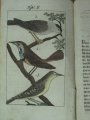 Book about ornithology
